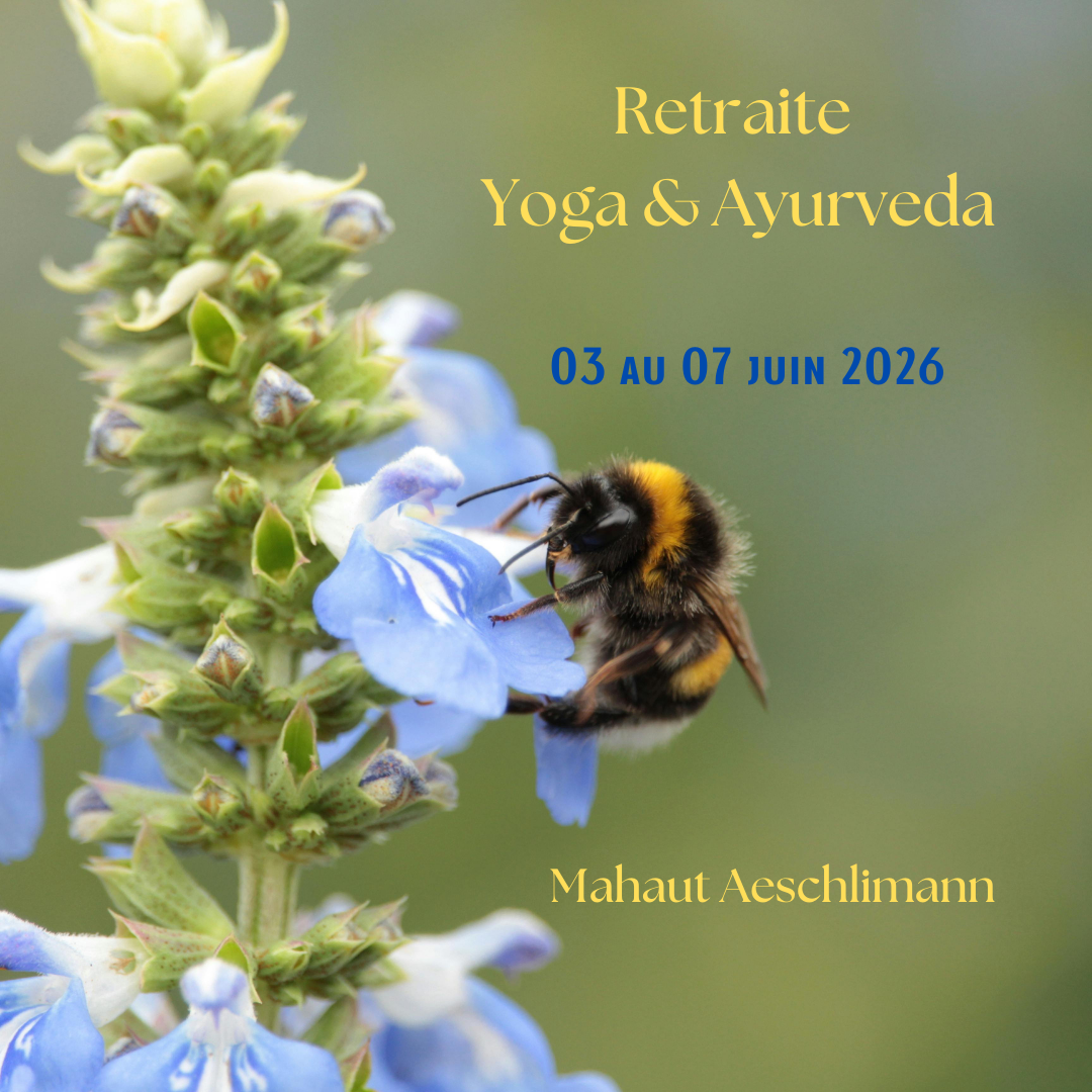 Yoga et ayurveda 1
